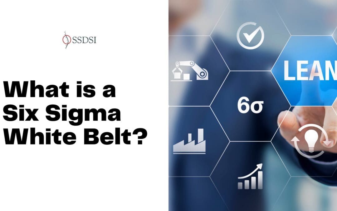 Six Sigma White Belt